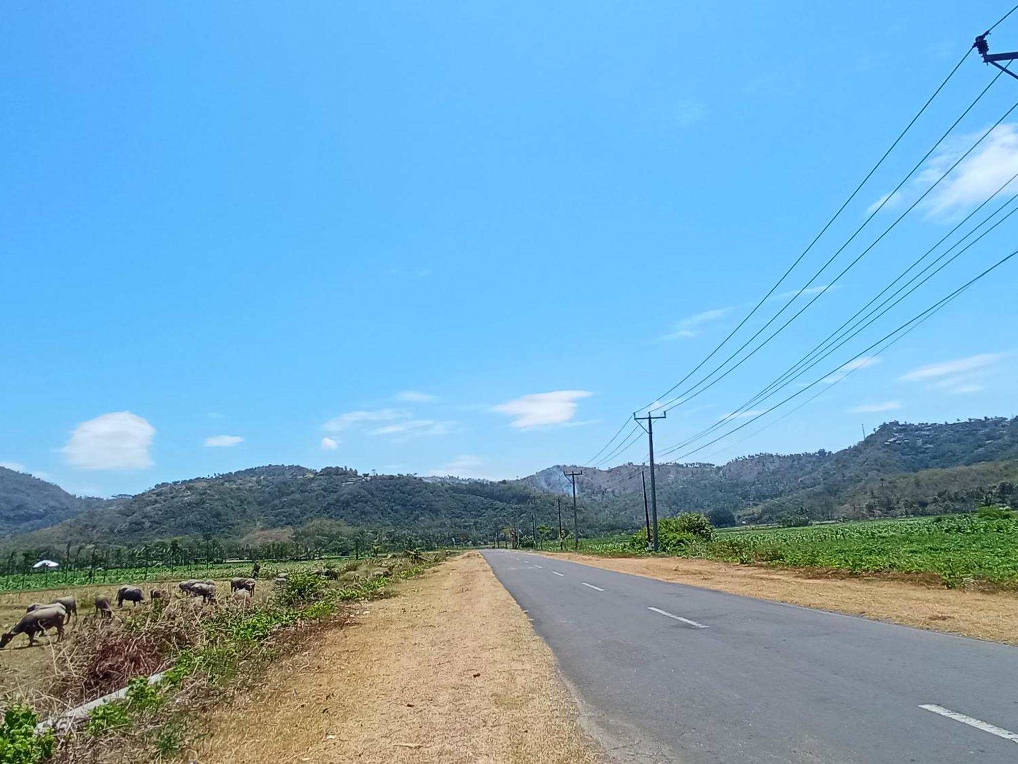Torok Ocean Homestay *